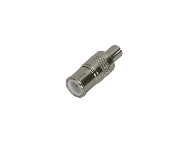 CT3655